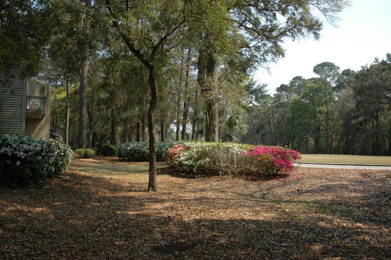 Carolina Club by Spinnaker Resorts Hilton Head Island Eksteriør bilde